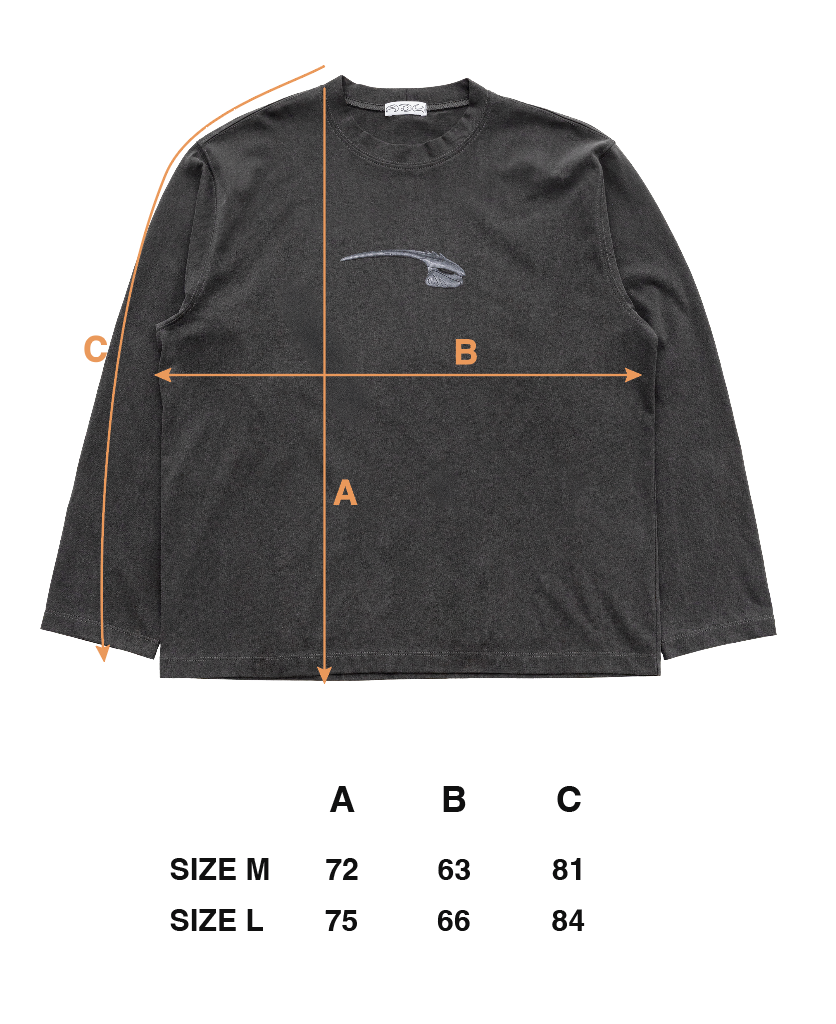 HEAD LS SHIRT